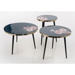 Ensemble 3 tables basses...