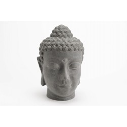 Tête Bouddha TARA Hauteur...