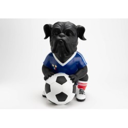 Chien footballer France XXL