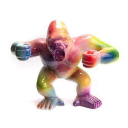 Gorille rainbow L