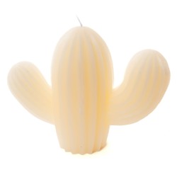 Bougie cactus blanc 