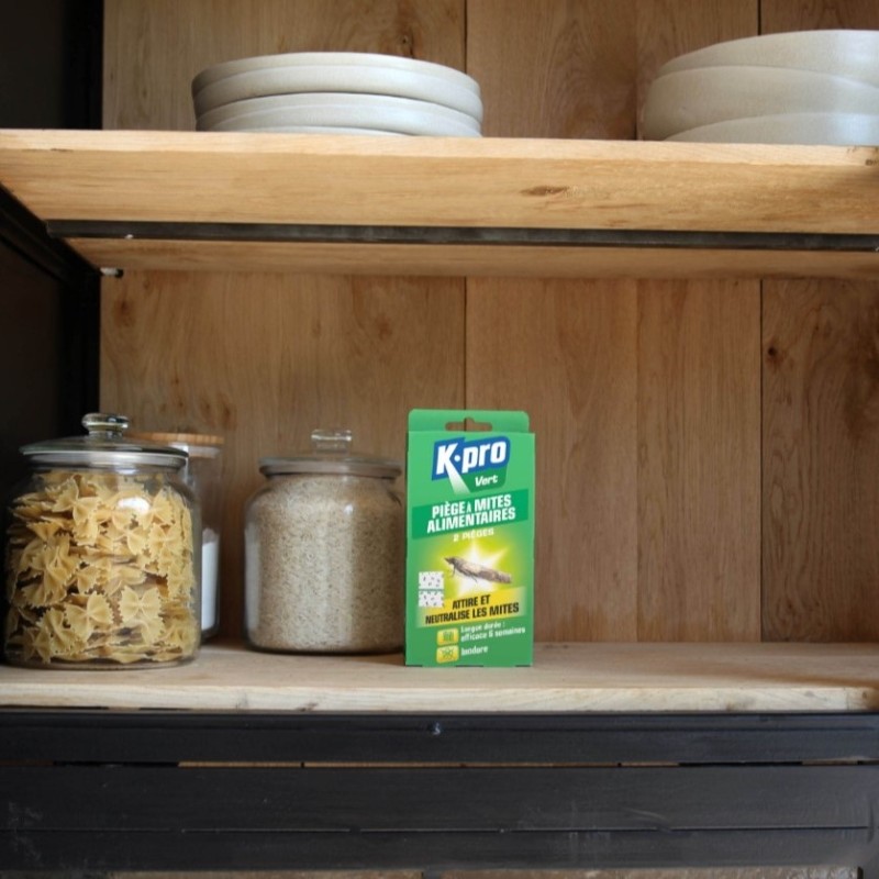 Caraselle Ltd ACANA Piège à Mites Pour Tapis, N.a