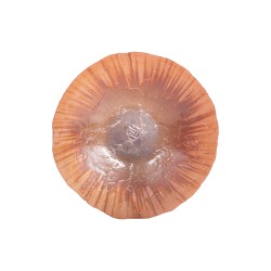 Coupe Aura 32 cm