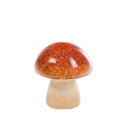 Champignon Terracotta...