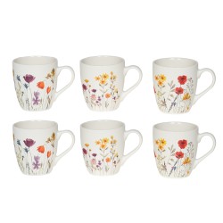 Coffret de 6 tasses IRIS 23 cl