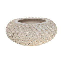 Coupe kailua 23x29 cm