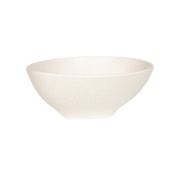 Saladier Dipsa 23 cm x 19...