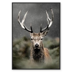 Toile cerf dans les...