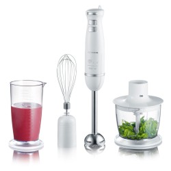 Set mixer plongeant